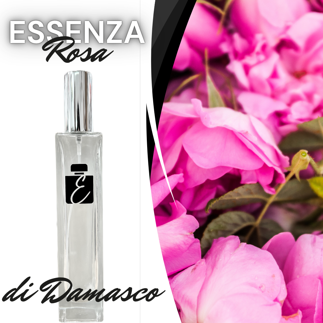 ROSA DI DAMASCO